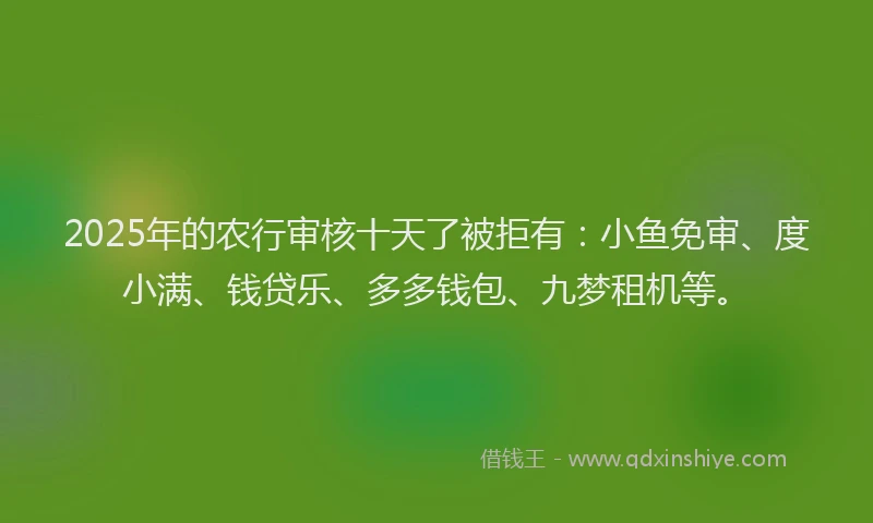 2025年的农行审核十天了被拒有：小鱼免审、度小满、钱贷乐、多多钱包、九梦租机等。