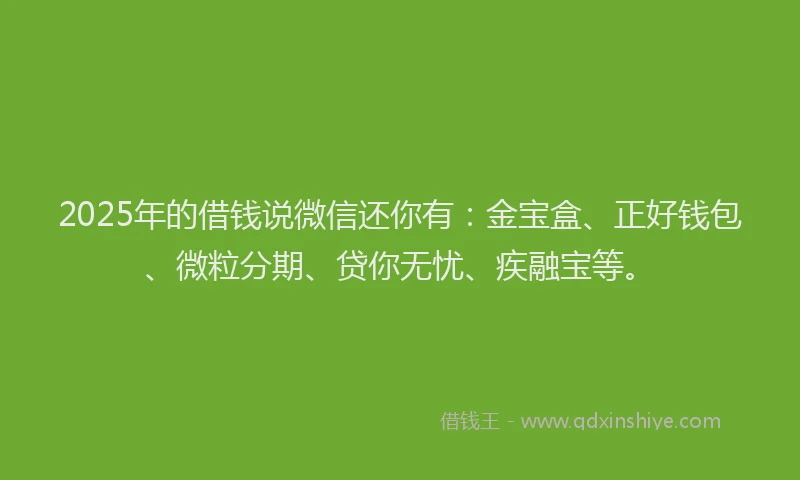 2025年的借钱说微信还你有：金宝盒、正好钱包、微粒分期、贷你无忧、疾融宝等。