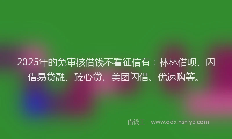 2025年的免审核借钱不看征信有：林林借呗、闪借易贷融、臻心贷、美团闪借、优速购等。