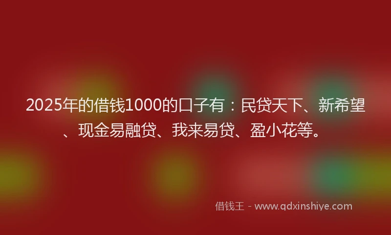 2025年的借钱1000的口子有：民贷天下、新希望、现金易融贷、我来易贷、盈小花等。