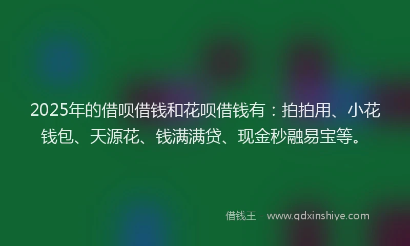 2025年的借呗借钱和花呗借钱有：拍拍用、小花钱包、天源花、钱满满贷、现金秒融易宝等。