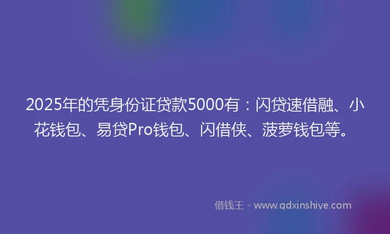2025年的凭身份证贷款5000有：闪贷速借融、小花钱包、易贷Pro钱包、闪借侠、菠萝钱包等。