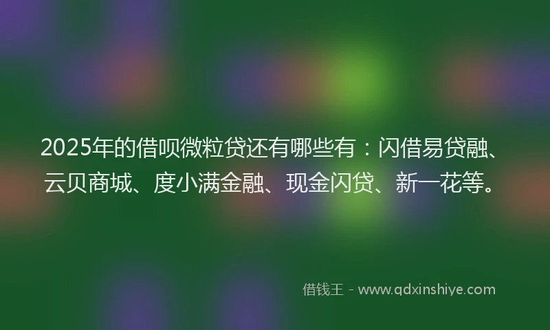 2025年的借呗微粒贷还有哪些有：闪借易贷融、云贝商城、度小满金融、现金闪贷、新一花等。