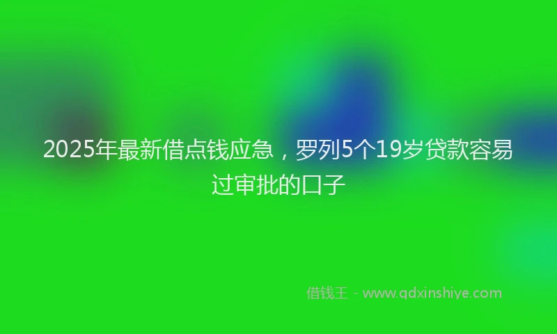 2025年最新借点钱应急，罗列5个19岁贷款容易过审批的口子
