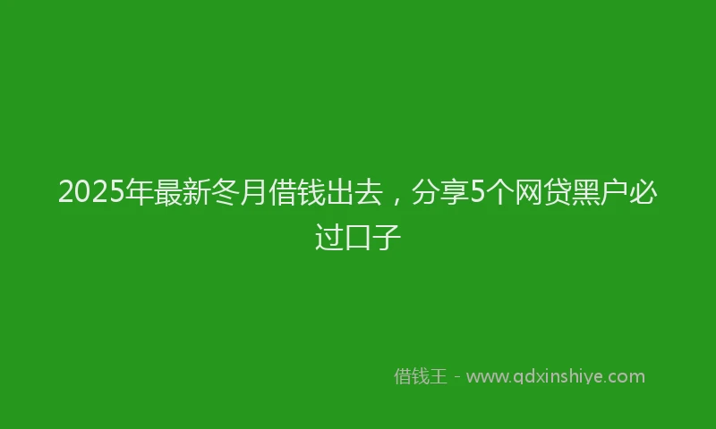 2025年最新冬月借钱出去，分享5个网贷黑户必过口子