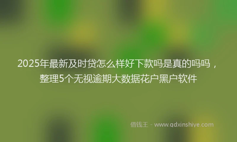 2025年最新及时贷怎么样好下款吗是真的吗吗，整理5个无视逾期大数据花户黑户软件
