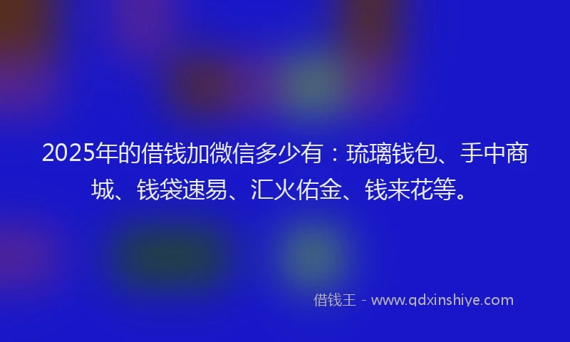 2025年的借钱加微信多少有：琉璃钱包、手中商城、钱袋速易、汇火佑金、钱来花等。