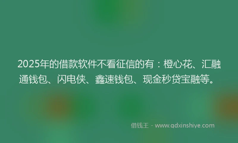 2025年的借款软件不看征信的有：橙心花、汇融通钱包、闪电侠、鑫速钱包、现金秒贷宝融等。