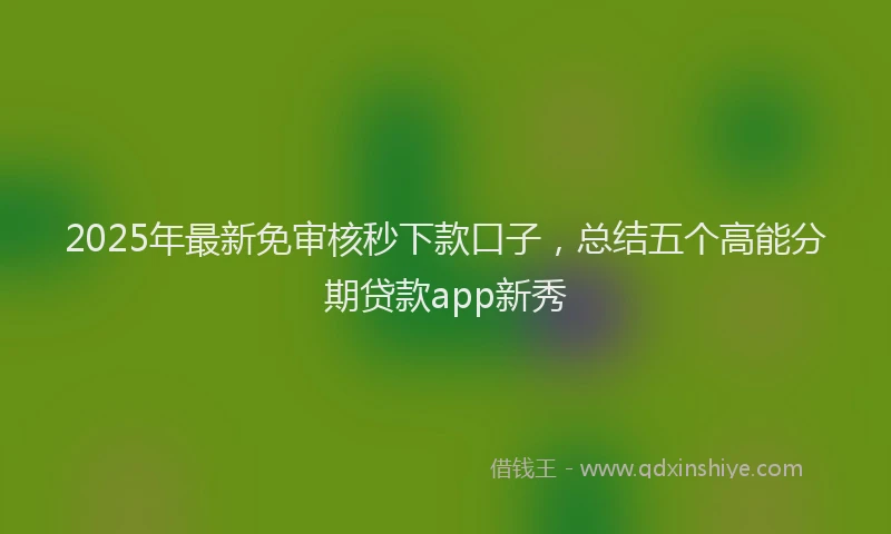 2025年最新免审核秒下款口子，总结五个高能分期贷款app新秀