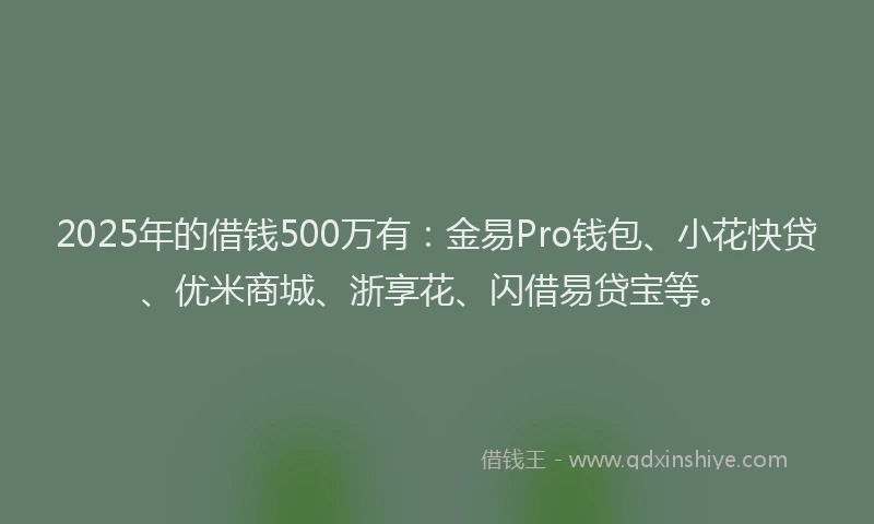 2025年的借钱500万有：金易Pro钱包、小花快贷、优米商城、浙享花、闪借易贷宝等。