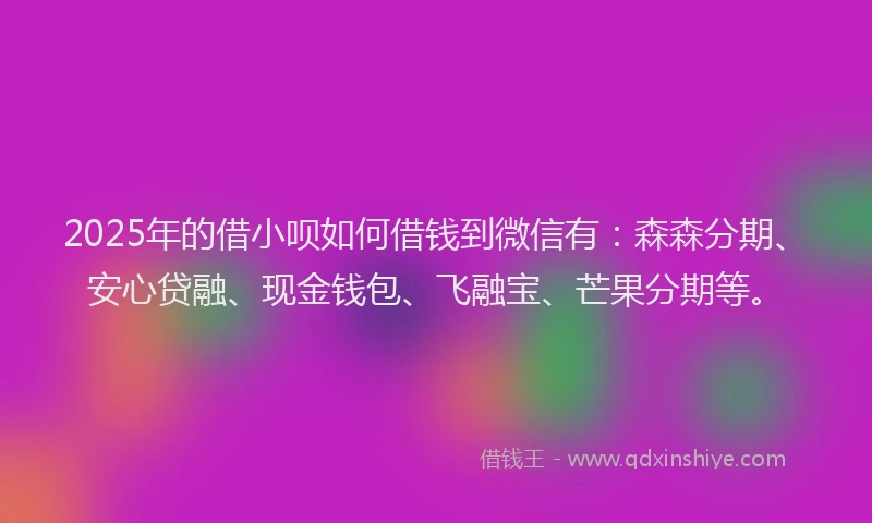 2025年的借小呗如何借钱到微信有：森森分期、安心贷融、现金钱包、飞融宝、芒果分期等。