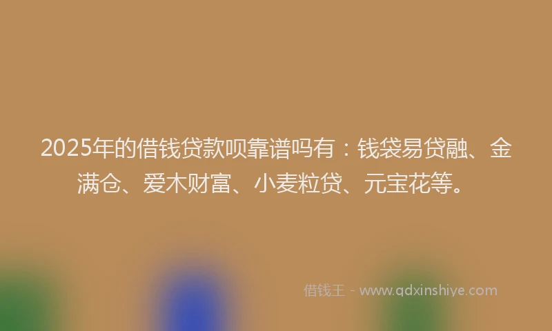 2025年的借钱贷款呗靠谱吗有：钱袋易贷融、金满仓、爱木财富、小麦粒贷、元宝花等。