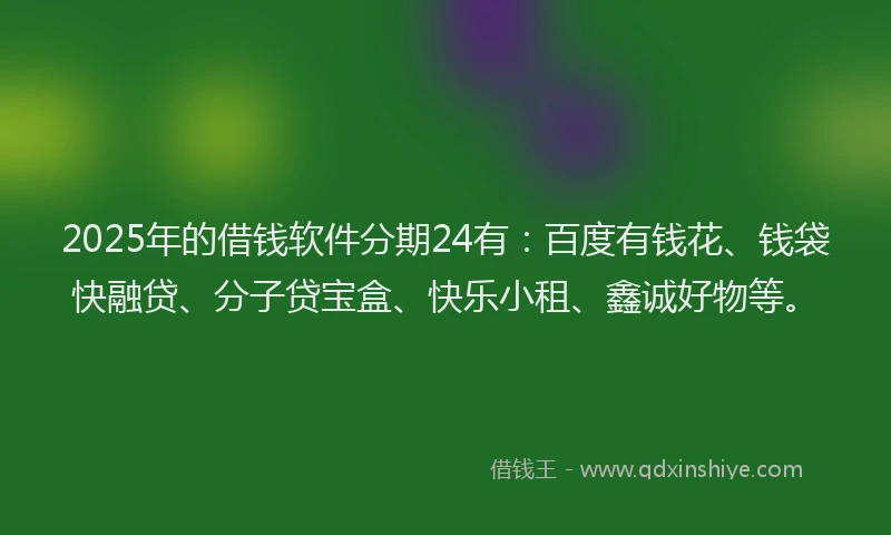 2025年的借钱软件分期24有：百度有钱花、钱袋快融贷、分子贷宝盒、快乐小租、鑫诚好物等。