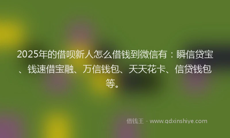 2025年的借呗新人怎么借钱到微信有：瞬信贷宝、钱速借宝融、万信钱包、天天花卡、信贷钱包等。