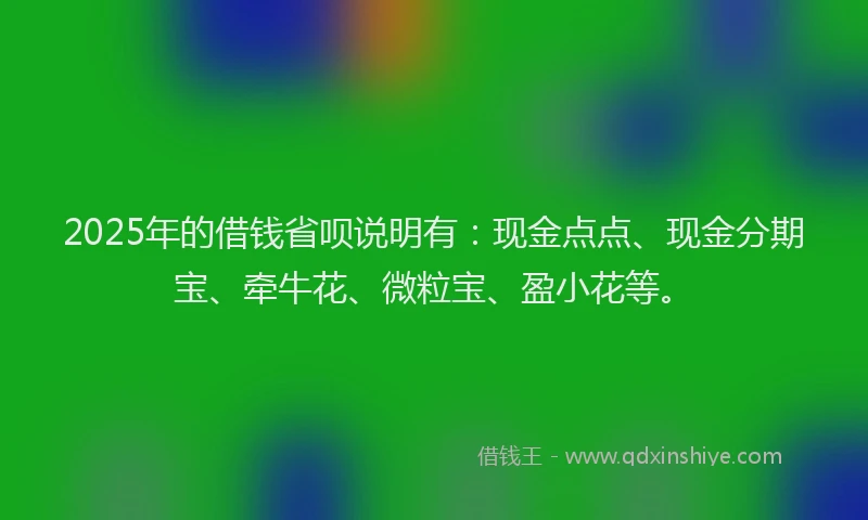 2025年的借钱省呗说明有：现金点点、现金分期宝、牵牛花、微粒宝、盈小花等。