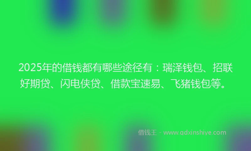 2025年的借钱都有哪些途径有：瑞泽钱包、招联好期贷、闪电侠贷、借款宝速易、飞猪钱包等。