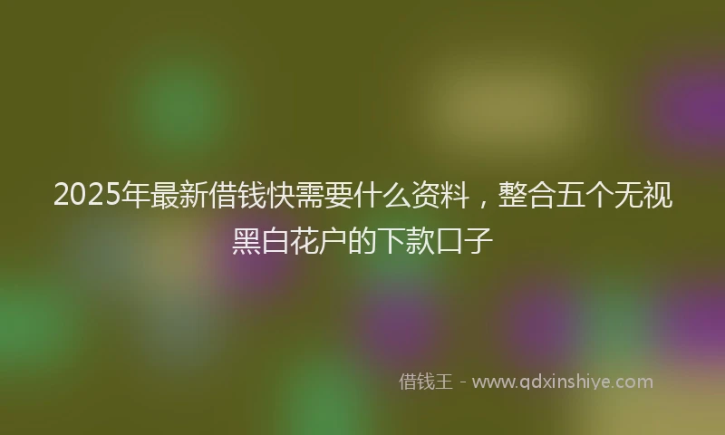 2025年最新借钱快需要什么资料，整合五个无视黑白花户的下款口子