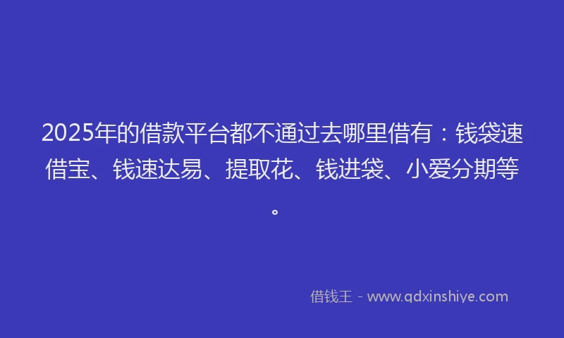 2025年的借款平台都不通过去哪里借有：钱袋速借宝、钱速达易、提取花、钱进袋、小爱分期等。