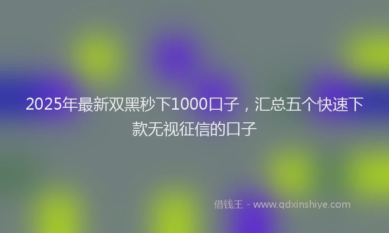2025年最新双黑秒下1000口子，汇总五个快速下款无视征信的口子