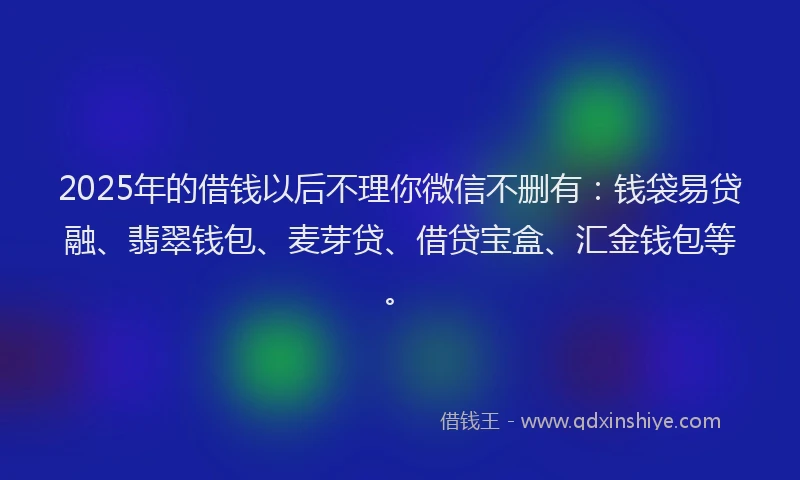 2025年的借钱以后不理你微信不删有：钱袋易贷融、翡翠钱包、麦芽贷、借贷宝盒、汇金钱包等。