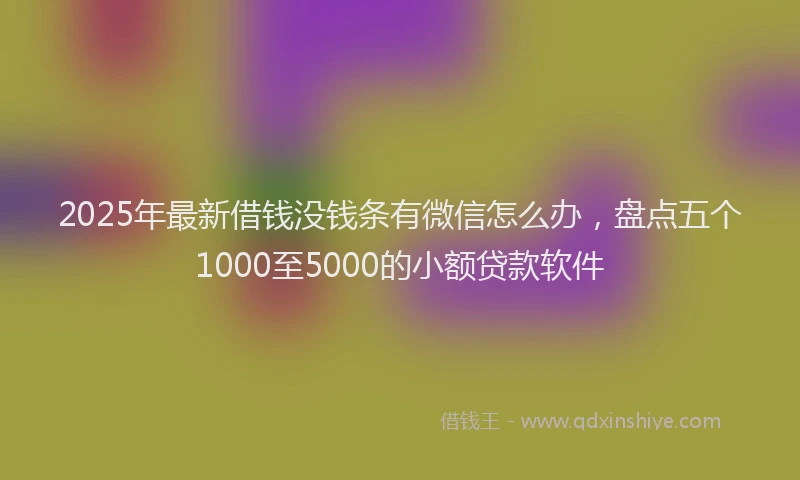 2025年最新借钱没钱条有微信怎么办，盘点五个1000至5000的小额贷款软件