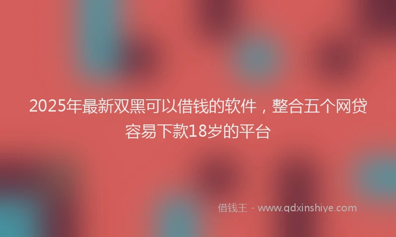 2025年最新双黑可以借钱的软件，整合五个网贷容易下款18岁的平台