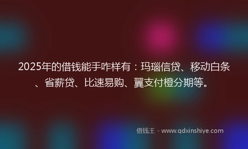 2025年的借钱能手咋样有：玛瑙信贷、移动白条、省薪贷、比速易购、翼支付橙分期等。