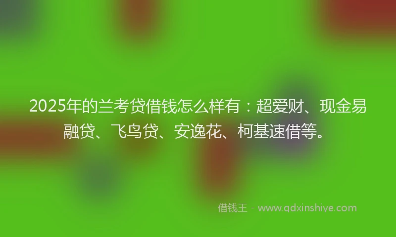 2025年的兰考贷借钱怎么样有：超爱财、现金易融贷、飞鸟贷、安逸花、柯基速借等。