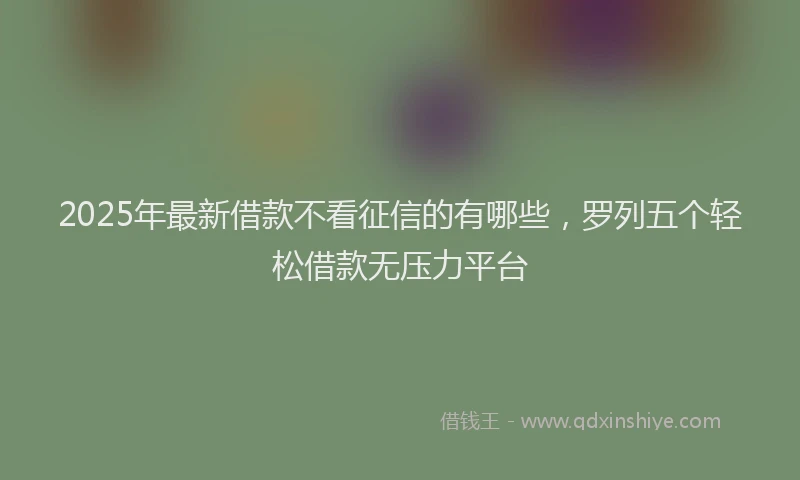 2025年最新借款不看征信的有哪些，罗列五个轻松借款无压力平台
