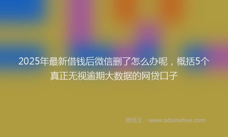 2025年最新借钱后微信删了怎么办呢，概括5个真正无视逾期大数据的网贷口子