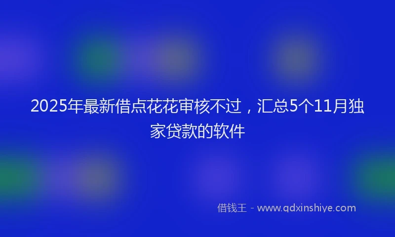 2025年最新借点花花审核不过，汇总5个11月独家贷款的软件