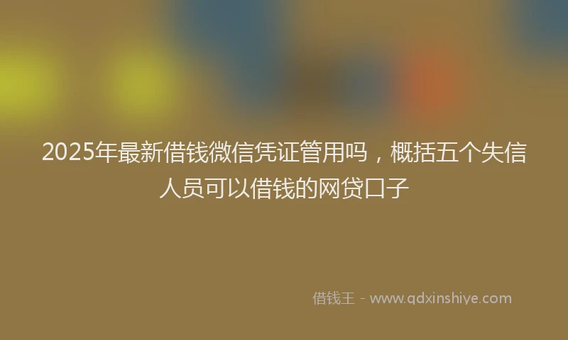 2025年最新借钱微信凭证管用吗，概括五个失信人员可以借钱的网贷口子