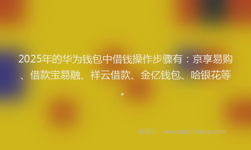 2025年的华为钱包中借钱操作步骤有：京享易购、借款宝易融、祥云借款、金亿钱包、哈银花等。