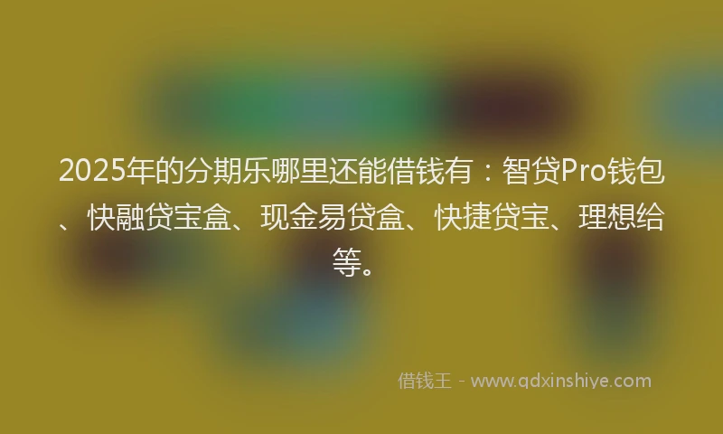 2025年的分期乐哪里还能借钱有：智贷Pro钱包、快融贷宝盒、现金易贷盒、快捷贷宝、理想给等。
