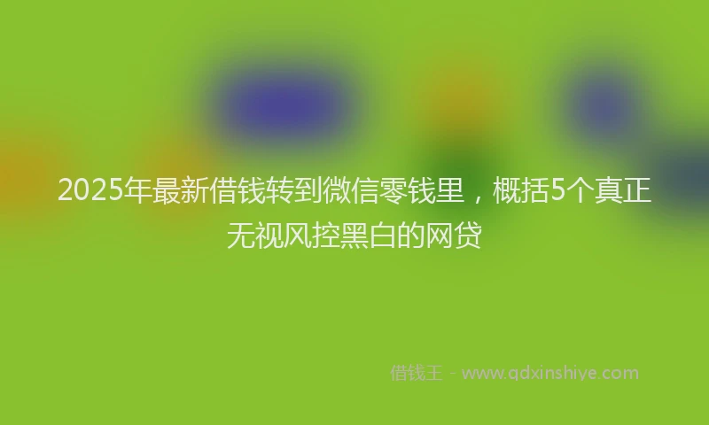 2025年最新借钱转到微信零钱里，概括5个真正无视风控黑白的网贷