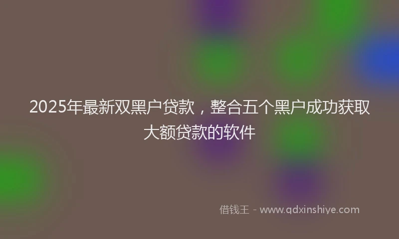2025年最新双黑户贷款，整合五个黑户成功获取大额贷款的软件