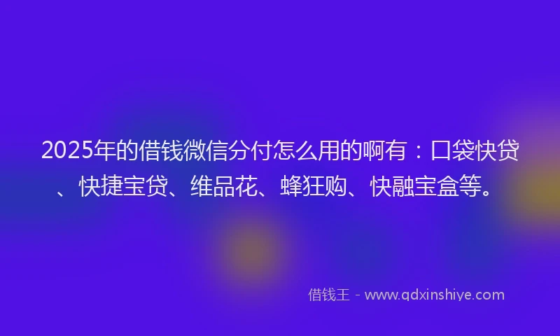 2025年的借钱微信分付怎么用的啊有：口袋快贷、快捷宝贷、维品花、蜂狂购、快融宝盒等。