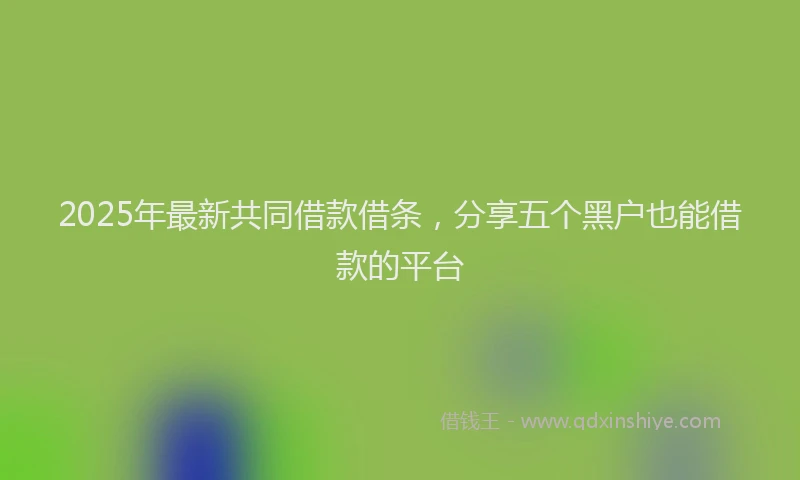 2025年最新共同借款借条，分享五个黑户也能借款的平台