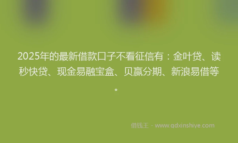 2025年的最新借款口子不看征信有：金叶贷、读秒快贷、现金易融宝盒、贝赢分期、新浪易借等。