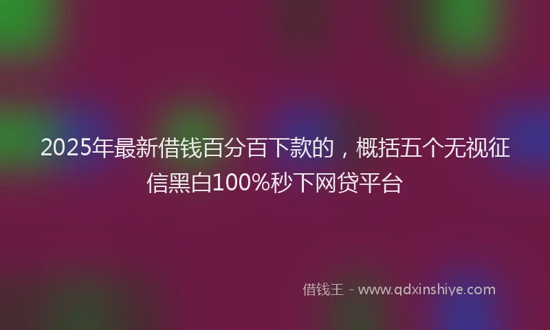 2025年最新借钱百分百下款的，概括五个无视征信黑白100%秒下网贷平台