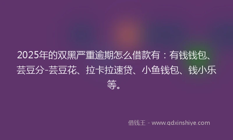 2025年的双黑严重逾期怎么借款有：有钱钱包、芸豆分-芸豆花、拉卡拉速贷、小鱼钱包、钱小乐等。