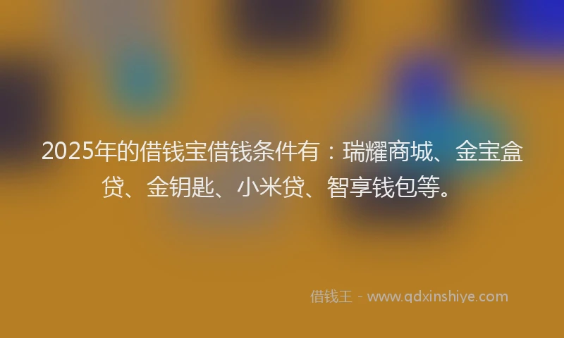 2025年的借钱宝借钱条件有：瑞耀商城、金宝盒贷、金钥匙、小米贷、智享钱包等。