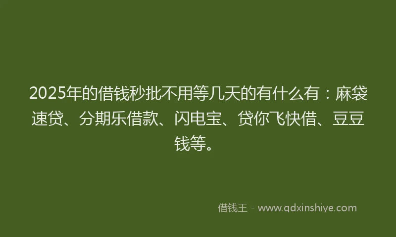 2025年的借钱秒批不用等几天的有什么有：麻袋速贷、分期乐借款、闪电宝、贷你飞快借、豆豆钱等。