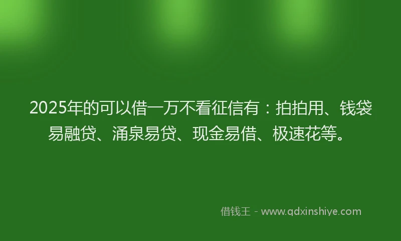 2025年的可以借一万不看征信有：拍拍用、钱袋易融贷、涌泉易贷、现金易借、极速花等。
