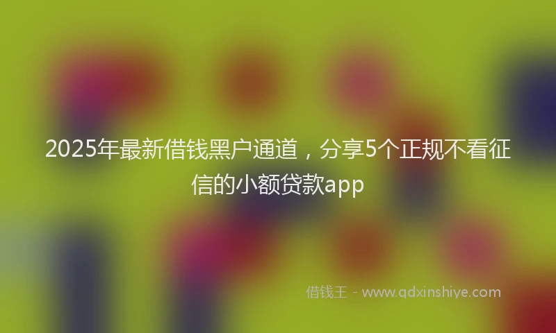 2025年最新借钱黑户通道，分享5个正规不看征信的小额贷款app