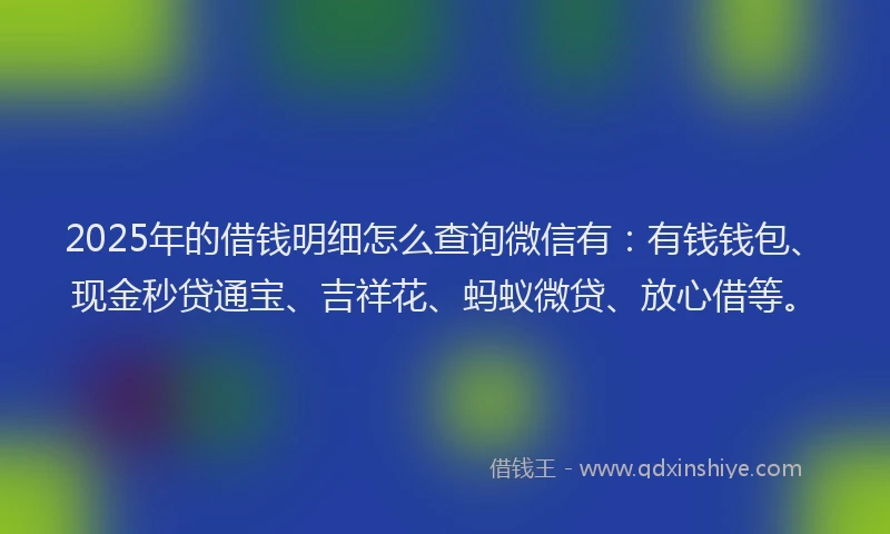2025年的借钱明细怎么查询微信有：有钱钱包、现金秒贷通宝、吉祥花、蚂蚁微贷、放心借等。