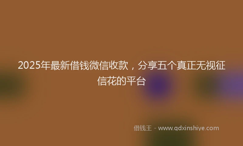 2025年最新借钱微信收款，分享五个真正无视征信花的平台