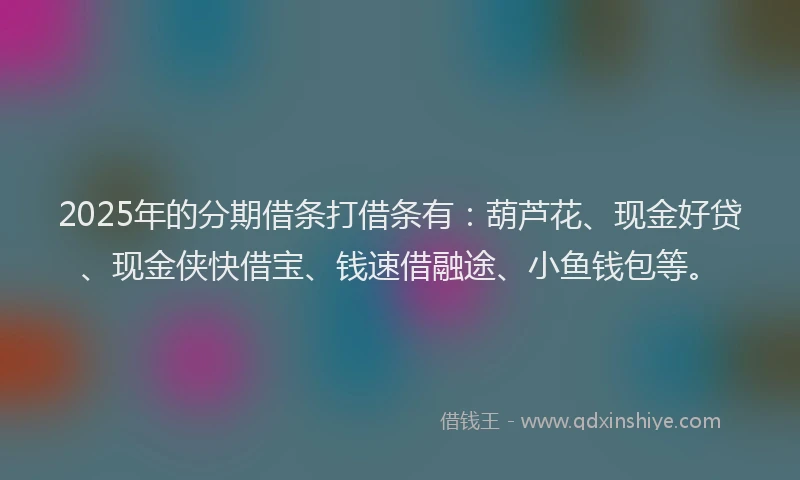 2025年的分期借条打借条有：葫芦花、现金好贷、现金侠快借宝、钱速借融途、小鱼钱包等。