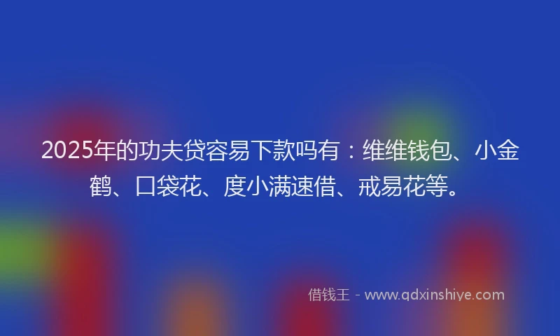 2025年的功夫贷容易下款吗有：维维钱包、小金鹤、口袋花、度小满速借、戒易花等。