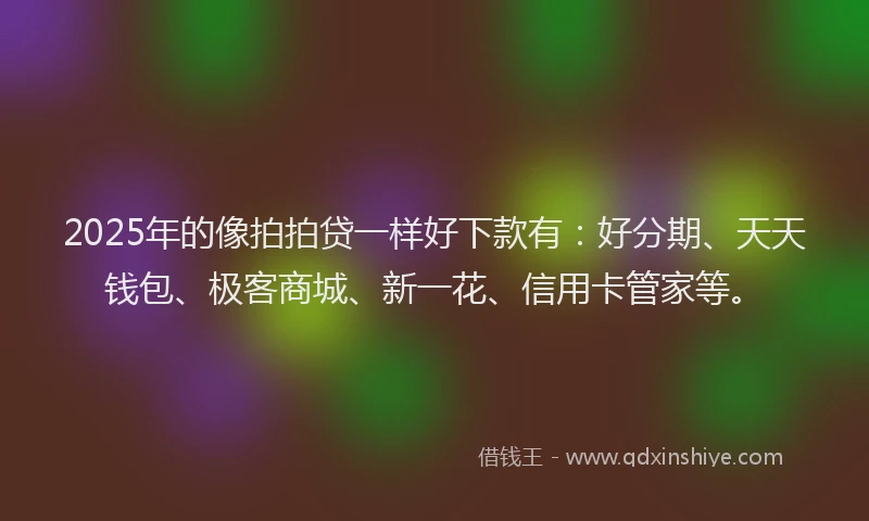2025年的像拍拍贷一样好下款有：好分期、天天钱包、极客商城、新一花、信用卡管家等。